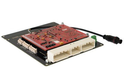 Link G4X FZJ100Link TFZJ100X ECU